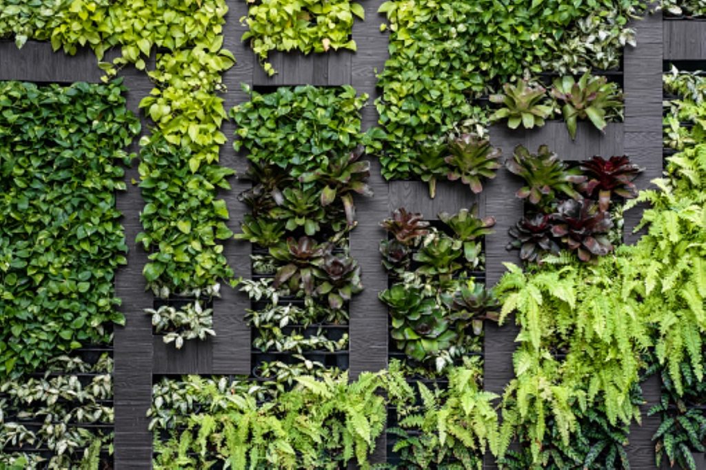 8 idées originales pour embellir votre façade