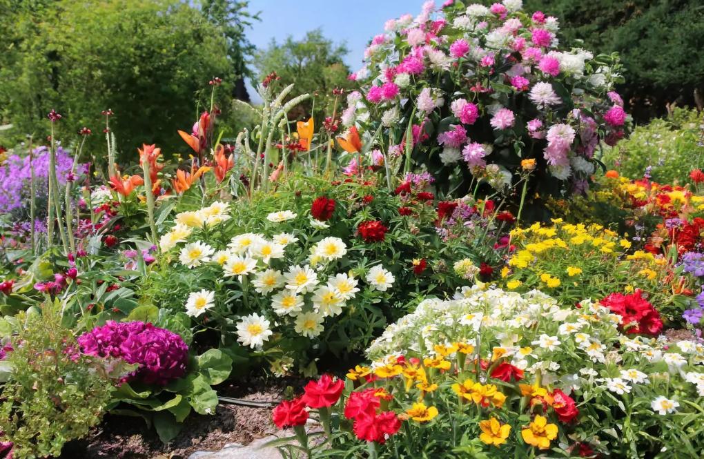 jardin fleuri
