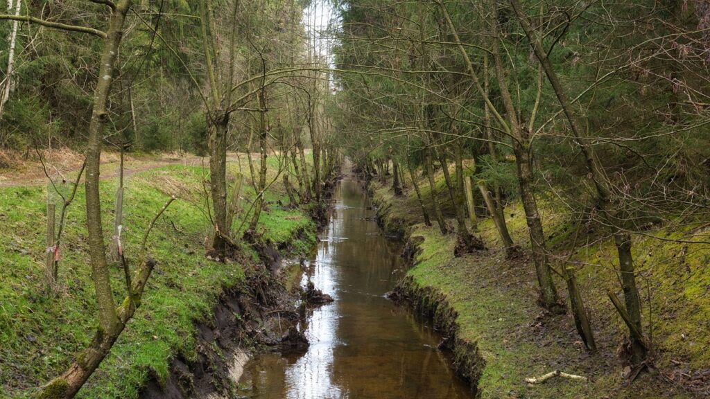 découvrez les techniques de drainage efficaces pour améliorer la gestion des eaux pluviales et prévenir les inondations. optimisez votre terrain et protégez votre espace extérieur grâce à nos conseils experts en drainage.