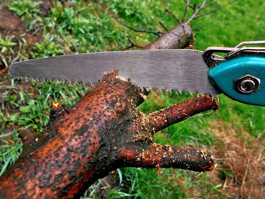 découvrez les meilleures techniques d'élagage pour entretenir vos arbres et arbustes, favoriser leur croissance et préserver leur santé.